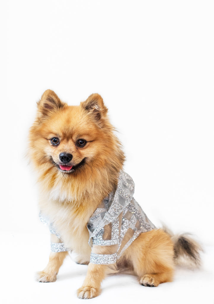 THE MAJESTIC DOGSWEAR COMES FROM AN ITALIAN DESIGNER