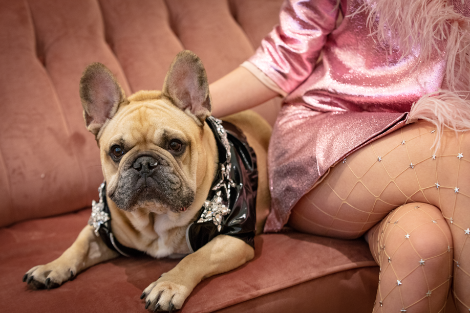 THE COSMIC ACCESSORY OF DOGSWEAR FASHION: BANDANAS