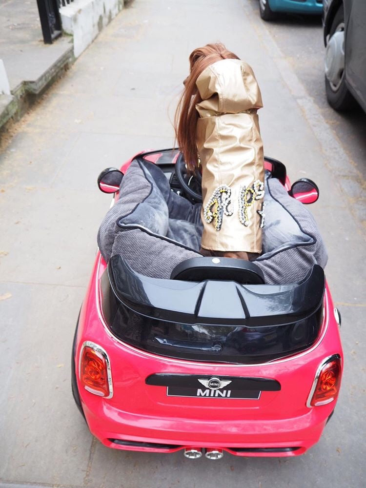 NEXT LEVEL FASHION: DOGSWEAR HAUTE COUTURE