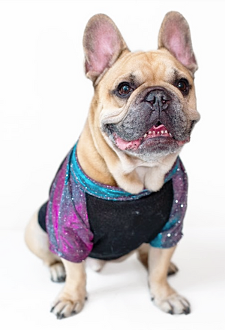 GALAXY HIPSTER
