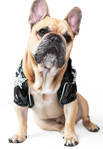 ROCK'N'ROLL STAR